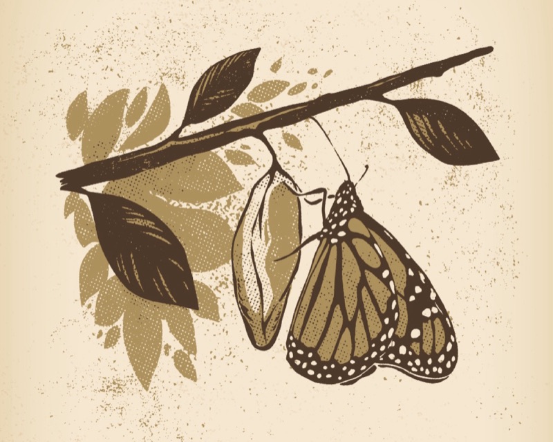 Illustration for The Journey