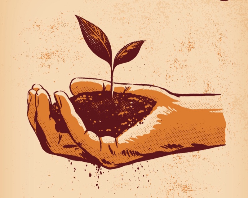 Illustration for Dream Catalyst